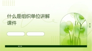 什么是组织单位讲解课件1