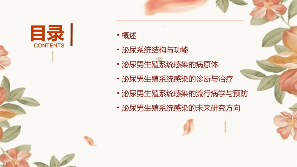 泌尿男生殖系统感染红软基地课件_第2页