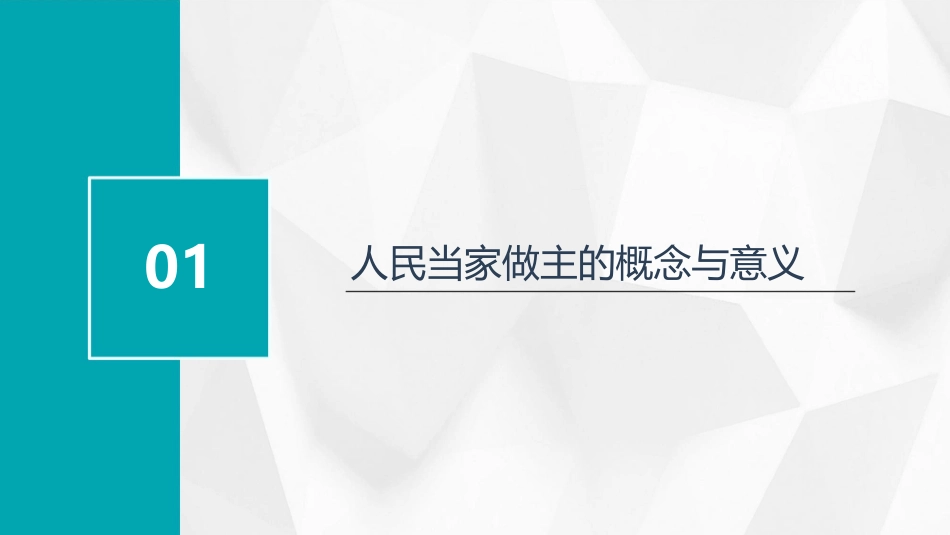 人民当家做主的国家课件_第3页