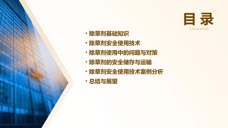 除草剂安全使用技术讲义课件_第2页