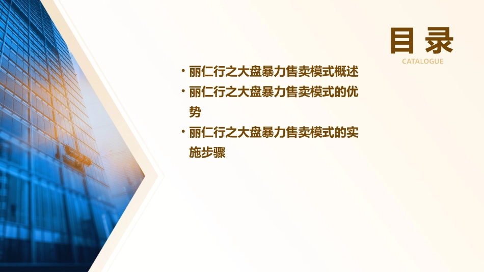 丽仁行之大盘暴力售卖模式课件_第2页