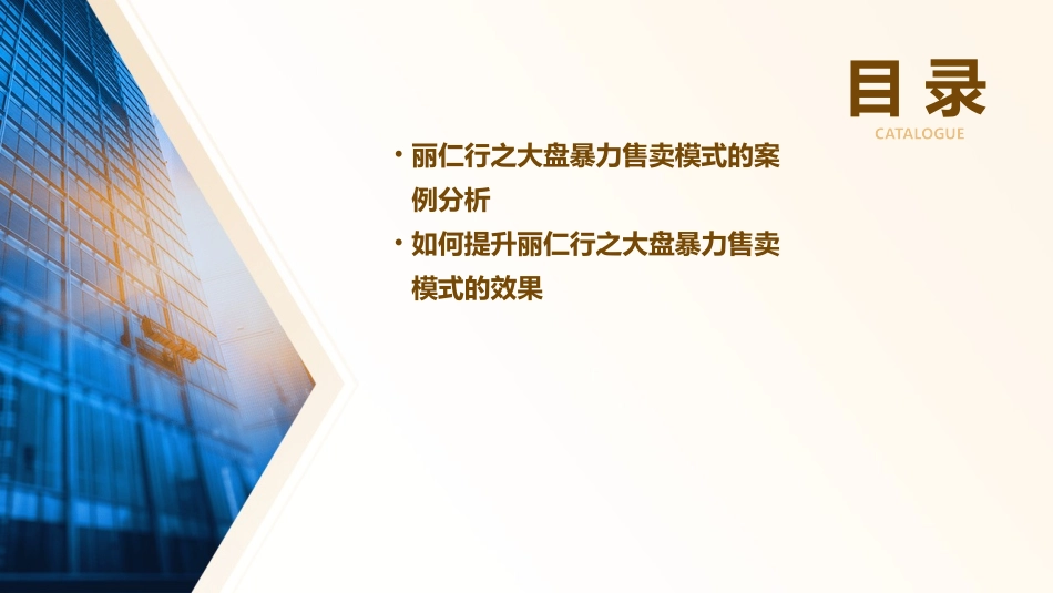 丽仁行之大盘暴力售卖模式课件_第3页