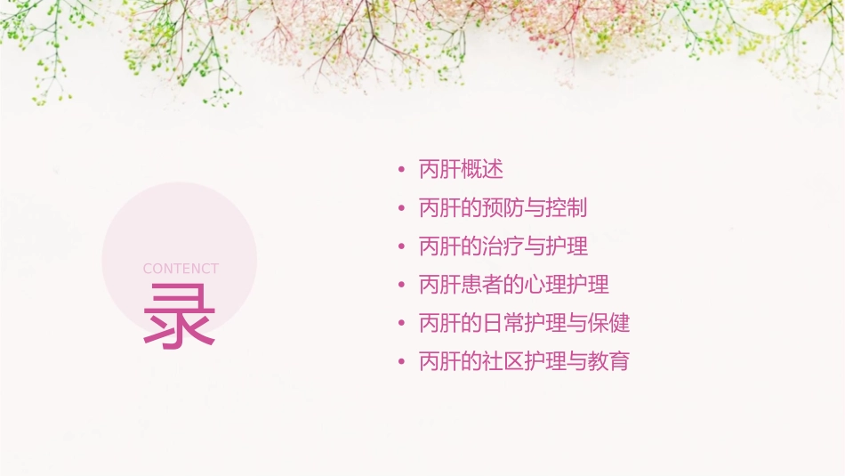 丙肝基础护理课件1_第2页