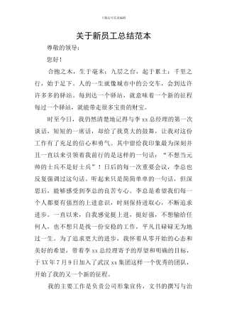 关于新员工总结范本