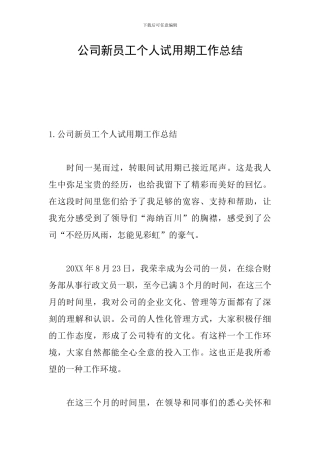 公司新员工个人试用期工作总结