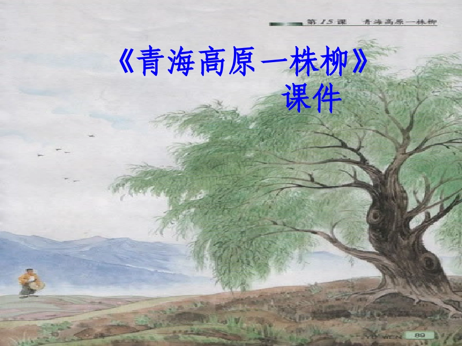青海高原一株柳_第1页
