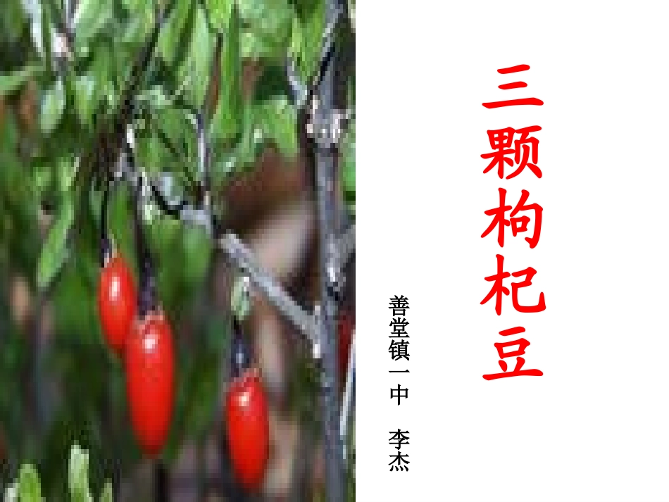 三颗枸杞豆课件_第1页