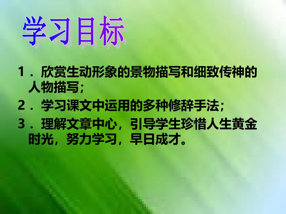 三颗枸杞豆课件_第2页