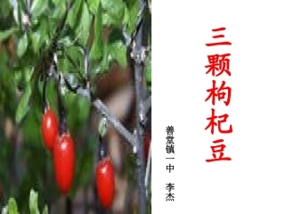 三颗枸杞豆课件