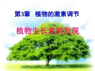 植物生长素的发现 (3)