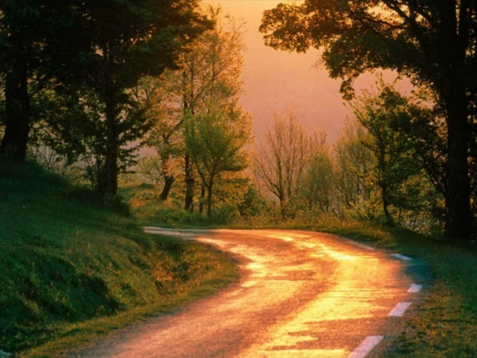 《美丽的小路》好的_第2页