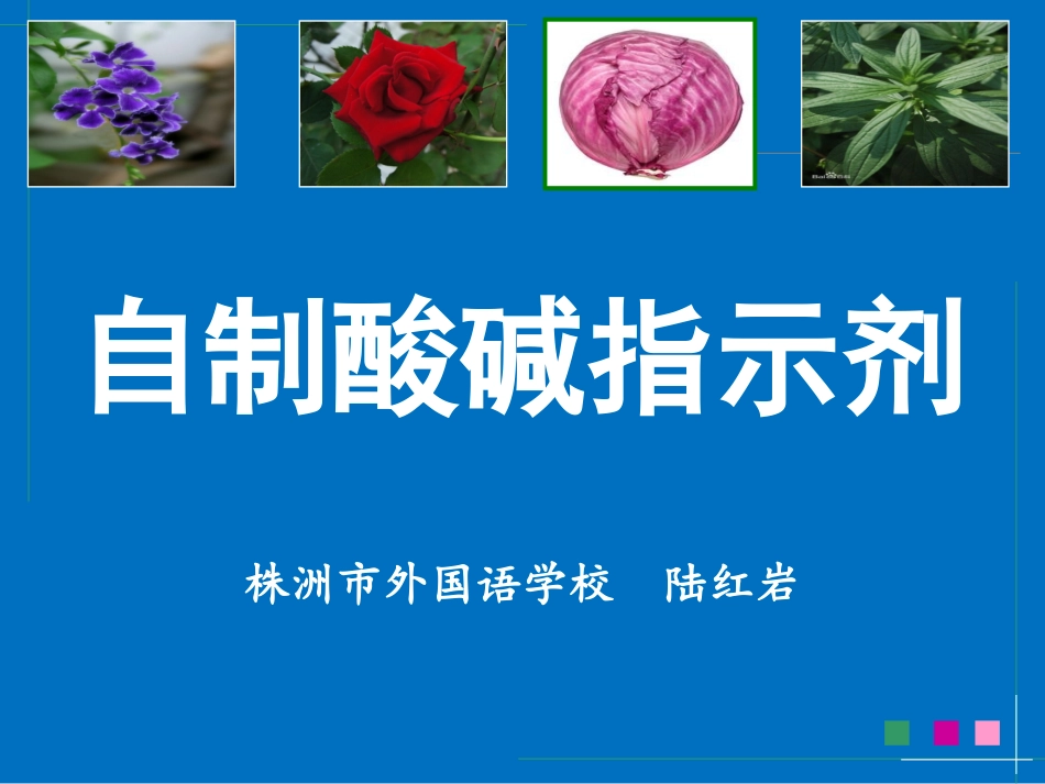 自制酸碱指示剂-陆红岩_第3页