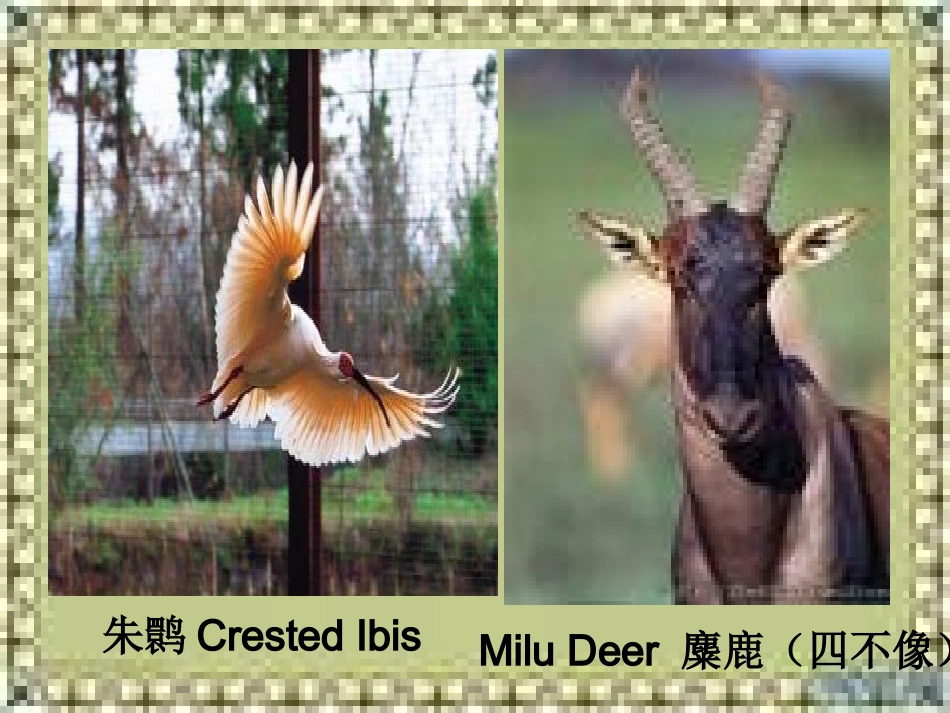 必修5Moudle6Reading_第2页