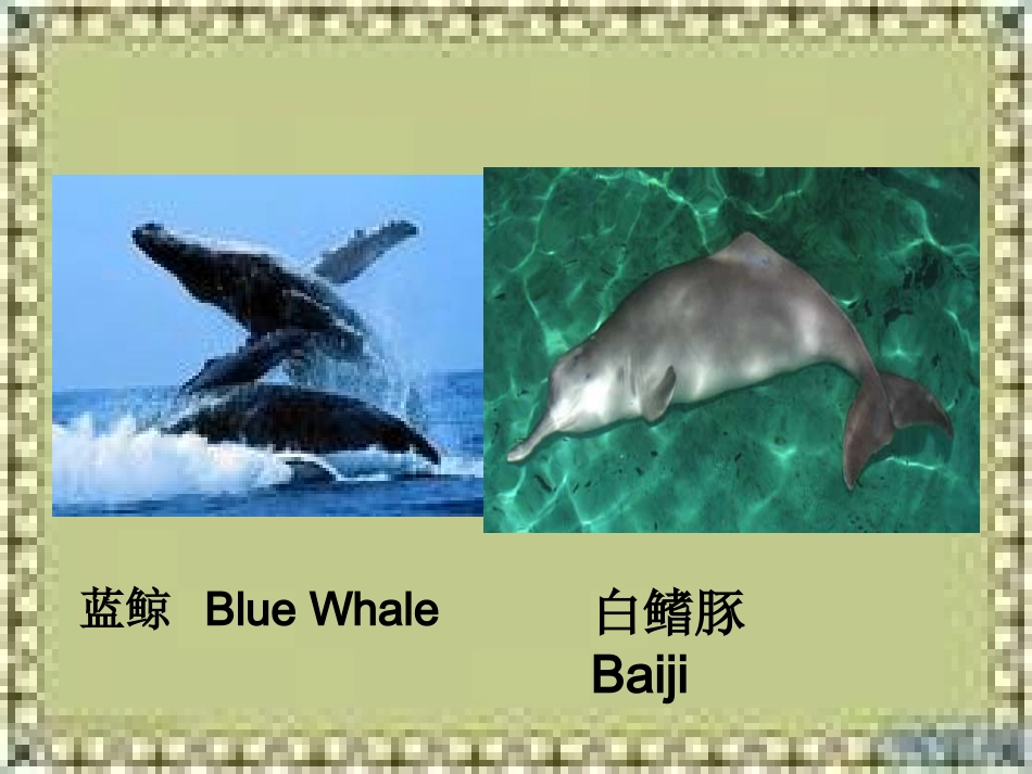必修5Moudle6Reading_第3页