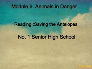 必修5Moudle6Reading