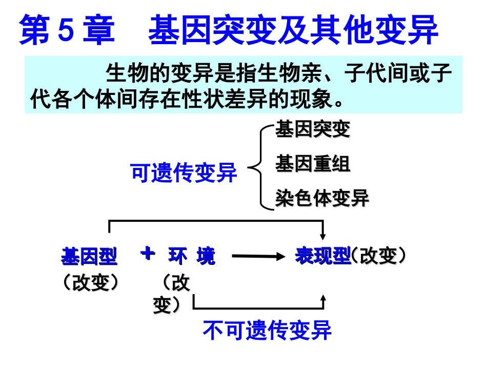 基因突变与基因重组_第1页