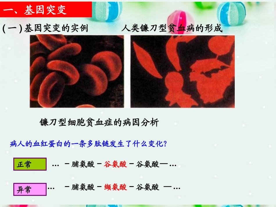 基因突变与基因重组_第3页