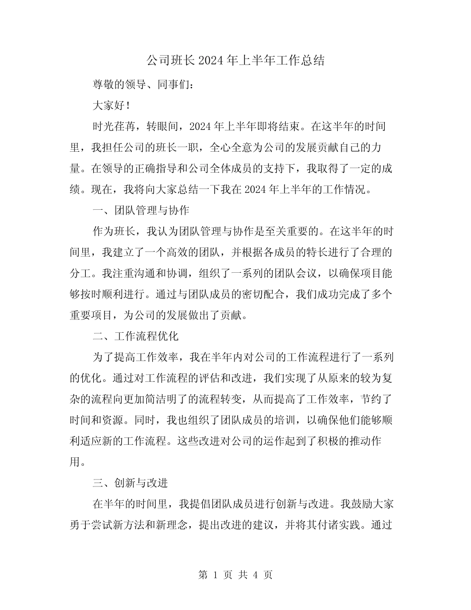 公司班长2024年上半年工作总结(2)_第1页