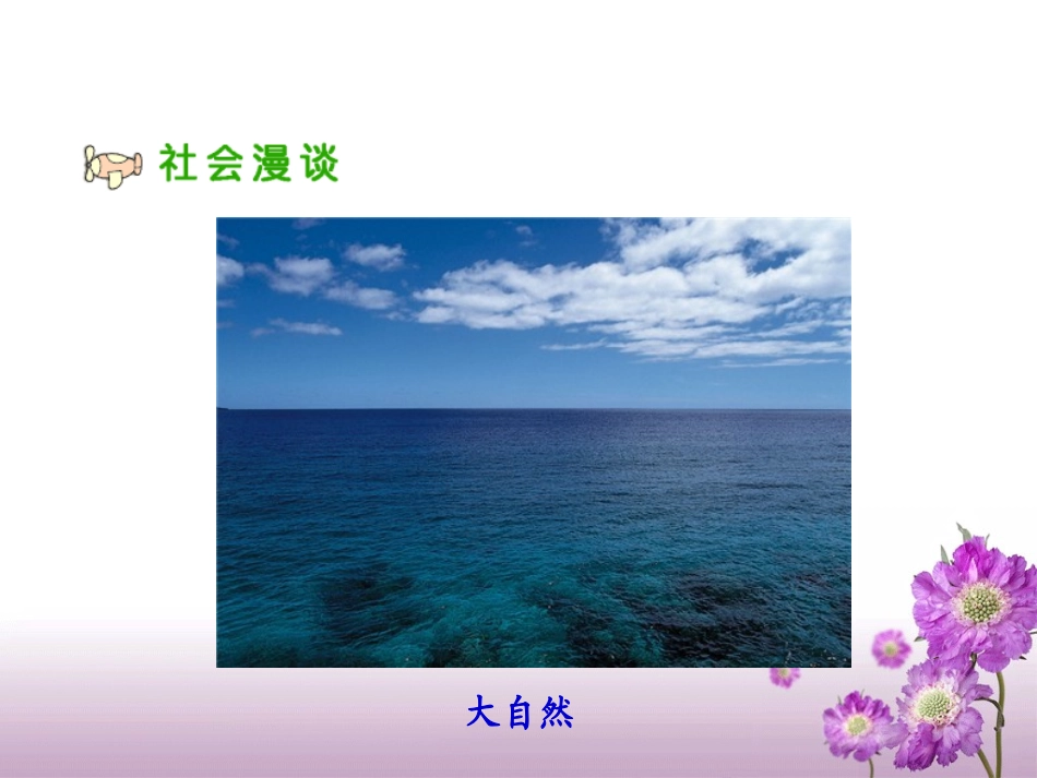 《我们能为地球做什么》教学课件_第2页