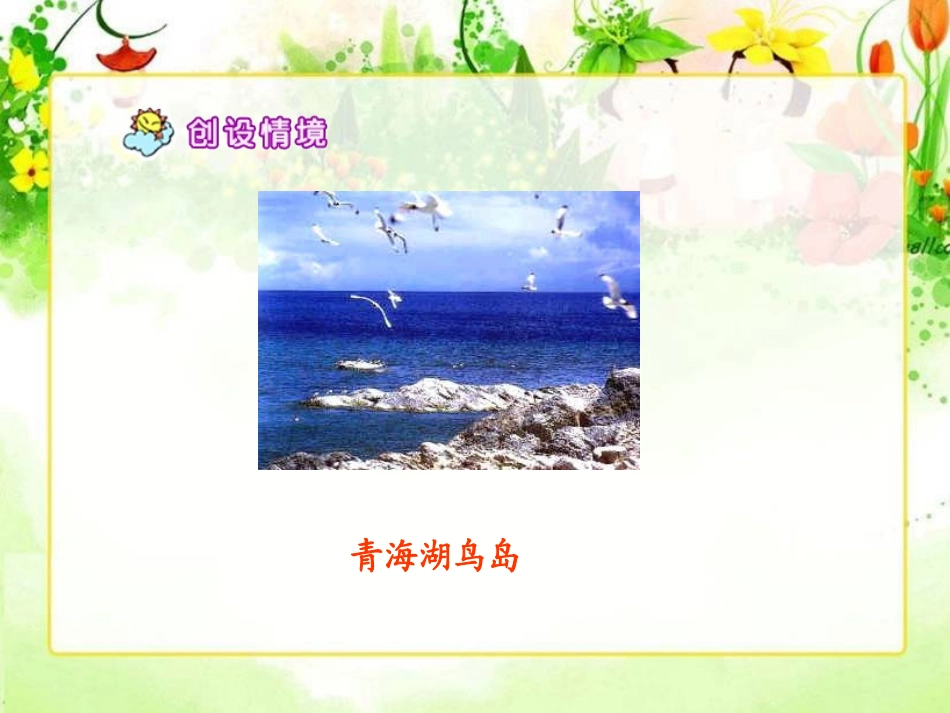 鸟岛课件（一）_第3页