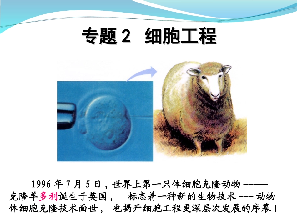 植物细胞工程的基本技术_第2页