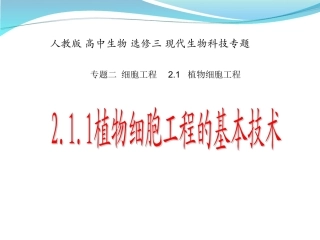 植物细胞工程的基本技术
