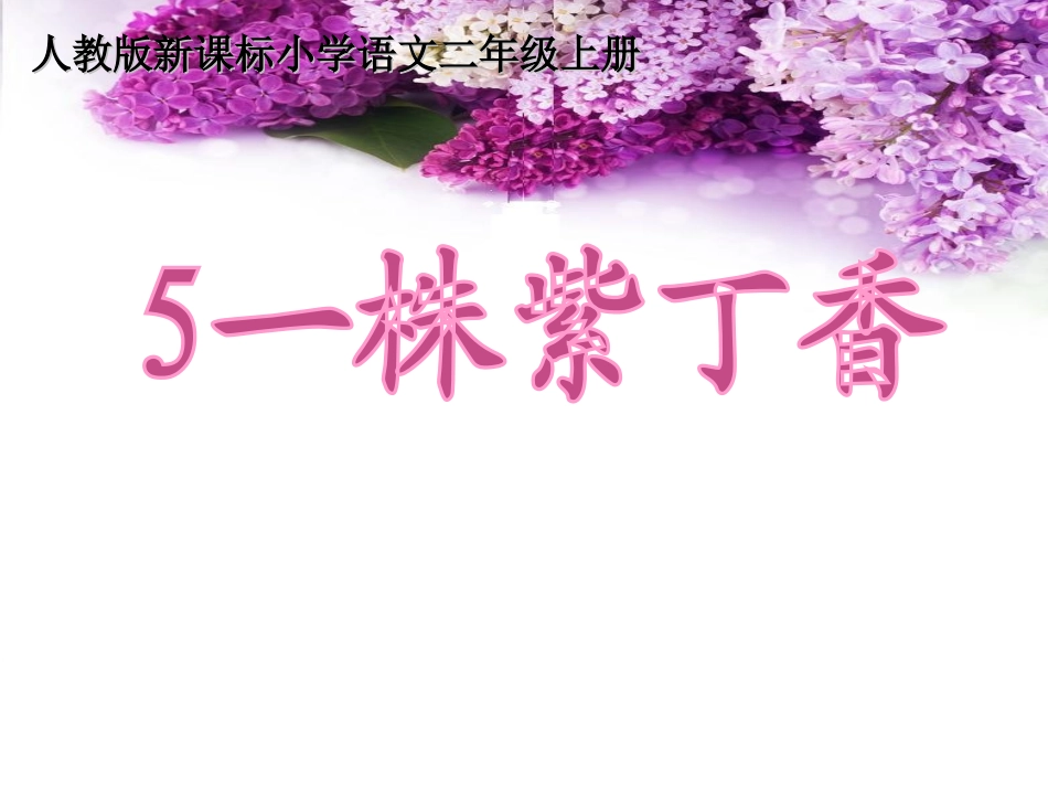 《一株紫丁香》_第1页