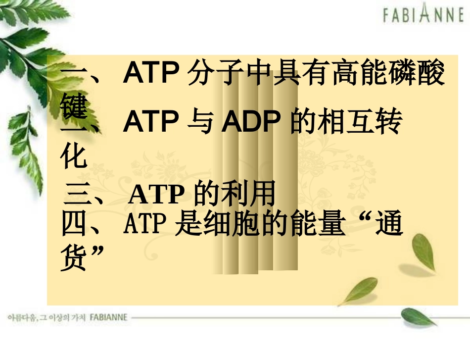 细胞的能量通货ATP_第2页