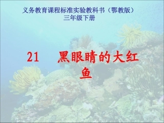 黑眼睛的大红鱼