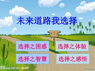 未来道路我选择课件
