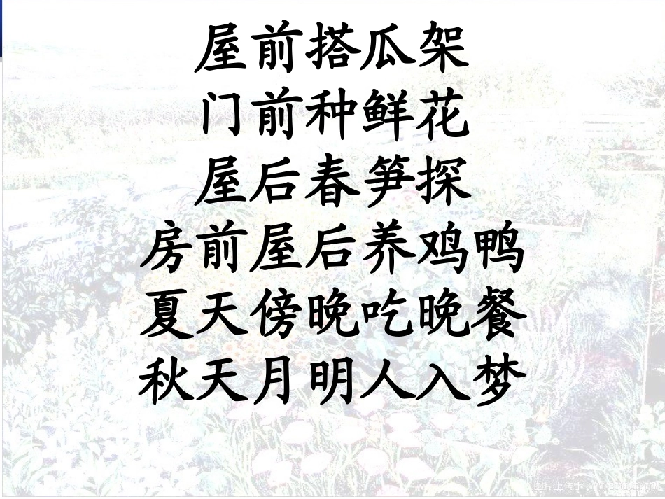 乡下人家第二课时_第3页