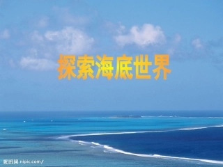探索海底世界