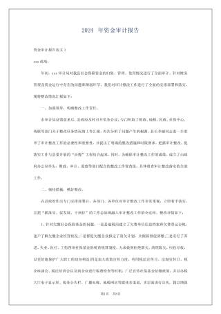 2024年资金审计报告