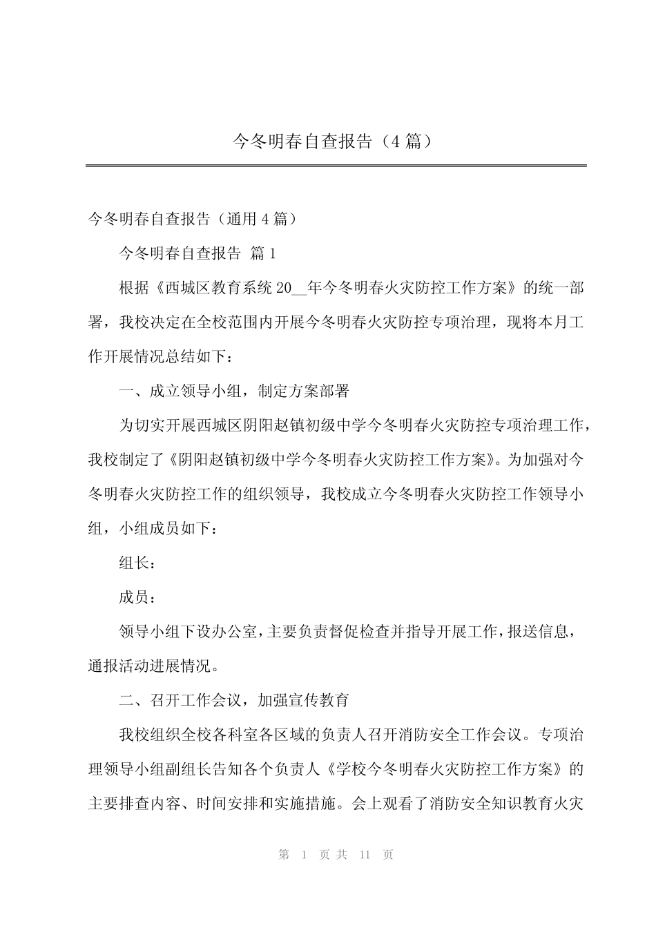 2024年今冬明春自查报告(4)_第1页