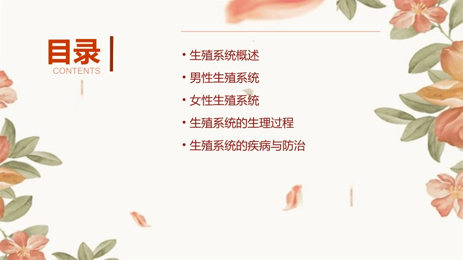 生殖系统(生理)课件_第2页