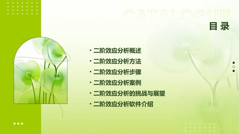 二阶效应分析课件_第2页