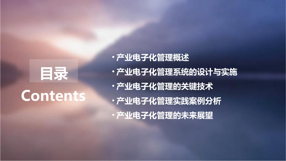 产业电子化管理课件_第2页