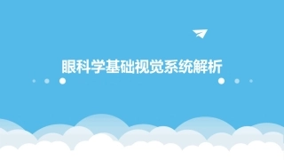 眼科学基础视觉系统解析