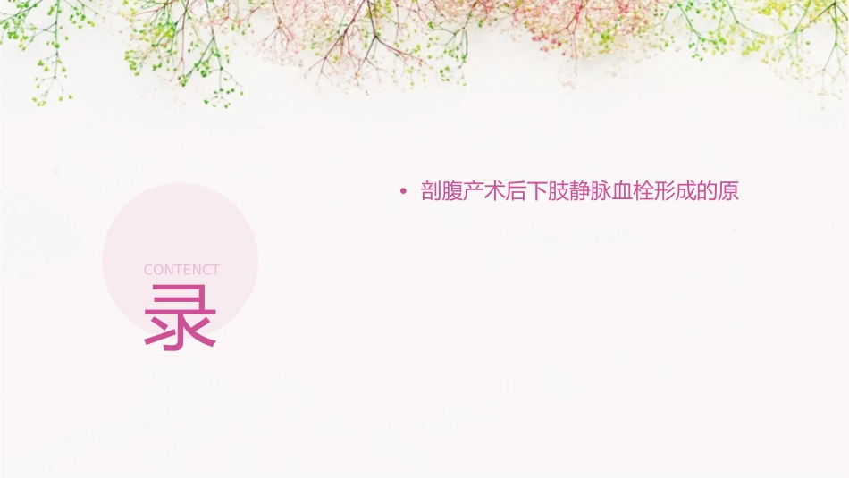 产科剖腹产术后下肢静脉血栓查房护理课件1_第2页