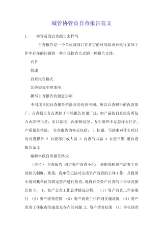 城管协管员自查报告范文