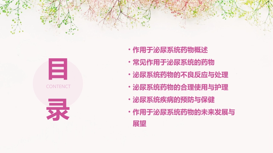 作用于泌尿系统药物汇总护理课件_第2页