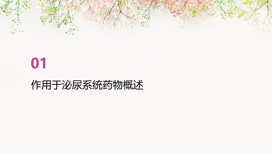 作用于泌尿系统药物汇总护理课件_第3页