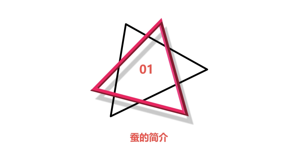 蚕的生长变化教学课件_第3页