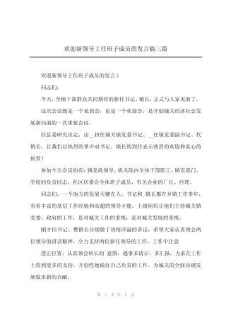 2024年欢迎新领导上任班子成员的发言稿三