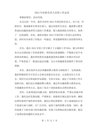2024年纪检负责人任职工作总结 