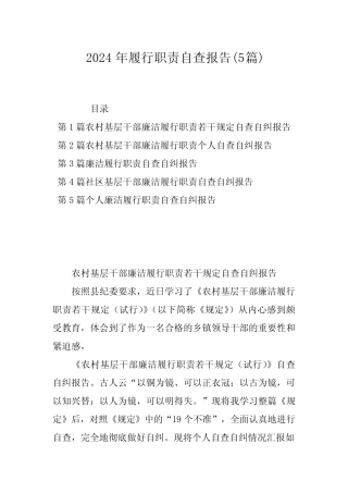 2024年履行职责自查报告(5)