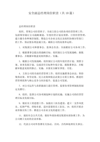安全副总经理岗位职责(共10) 