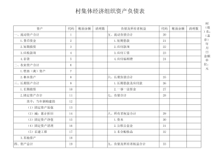 村集体经济组织资产负债表