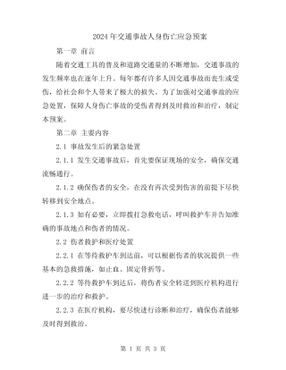 2024年交通事故人身伤亡应急预案 