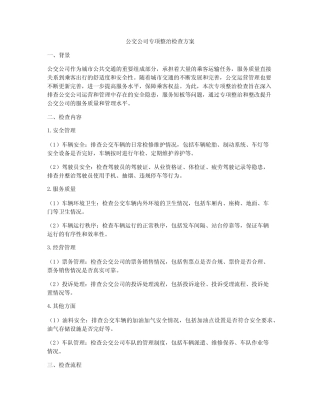 公交公司专项整治检查方案 